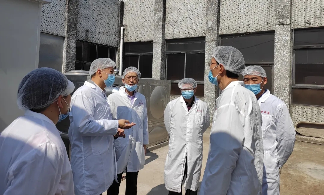 广州市生态环境局海珠分辨局局长区劲国一行到J9.COM公司查抄领导工作